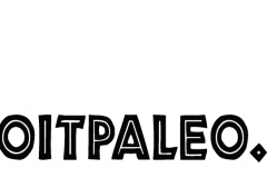 doitpaleoLogo